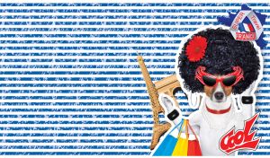 Jack Russell terrier, poodle-haired, shopping in France against the blue and white stripes