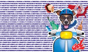 Jack Russell terrier on a blue scooter against the navy and white stripes