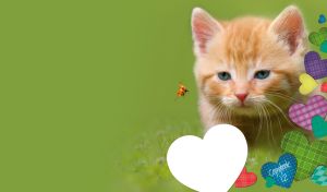 Sleepy red kitten lying on grass on a dark lime background with colorful hearts