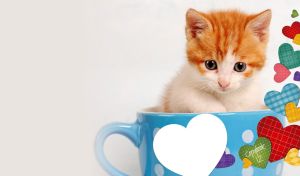 White and red kitten in a tea cup on a white pastel background with colorful hearts