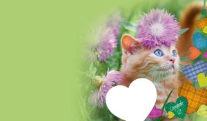 Red kitten in a field of purple flowers in a green vignette with colorful hearts