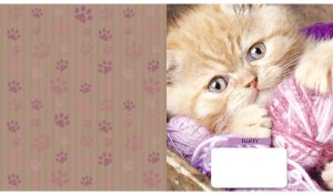 Persian cat and yarn balls portrait next to dark tan backdrop with paw pattern