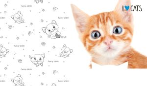 I Love Cats | Expressive & Funny Kitten Portraits on White