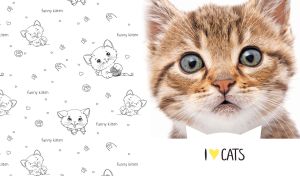 Closeup portrait of a green-eyed tabby kitten isolated on white backdrop