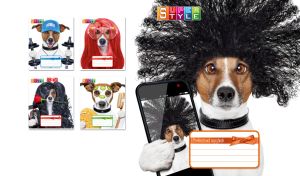 Jack Russell Terrier in an afro wig ready to take a selfie on a white backdrop