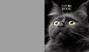 Black-and-white portrait of a yellow-eyed cat on black