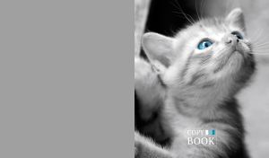Black-and-white portrait of a blue-eyed kitten on a light gray backdrop