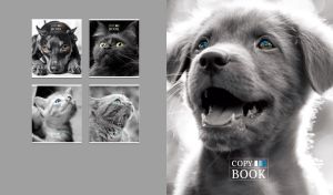 Black-and-white portrait of a green-eyed puppy on a light gray backdrop