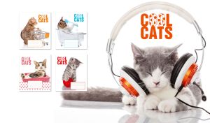 Cat listening to music in white headphones on a white backdrop