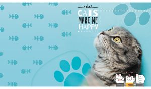 Close-up of a silver-grey short-haired cat against a pastel teal background