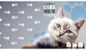 Close-up of a light beige short-haired cat against a pastel grey background