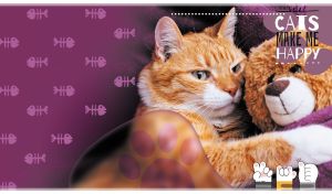 Close-up of a red cat with a teddy bear against a purple background