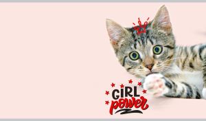 A tabby kitty with big green eyes in a hand-drawn crown on pastel beige