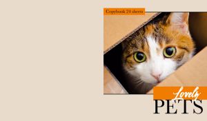 Portrait of a calico cat in a cardboard box on light beige