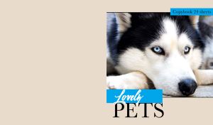 Portrait of a blue-eyed husky on light beige