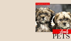 Portrait of a pair of Lhasa Apso puppies on light beige