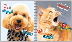 Red tabby cat and fluffy Poodle having fun on the covers of a spiral notebook