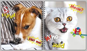 British Shorthair and Jack Russell Terrier on the covers of a spiral notebook