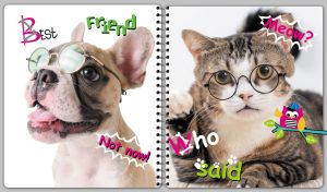 Tabby cat and French Bulldog wearing glasses on the covers of a spiral notebook