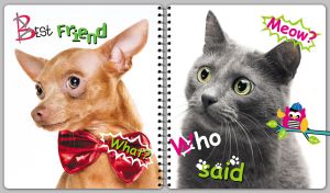 British Shorthair and Russian Toy having fun on the covers of a spiral notebook