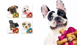 French Bulldog puppy and dog chew bones with pink ribbon on white