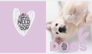 Portrait of a White Swiss Shepherd Dog on a pastel purple and white backdrop