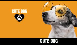 Close-up of a cute Jack Russell Terrier wearing sunglasses on an orange backdrop