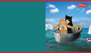 Cats on a romantic date on a boat, gliding through teal waters past icebergs