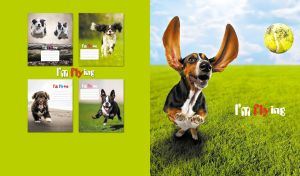 Basset hound leaping towards a tennis ball on grass on a lime backdrop