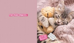 Sleeping kitten with a teddy bear on a pastel pink knitted texture backdrop