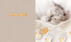 Sleeping kitten under a cozy blanket on a pastel beige knitted texture backdrop