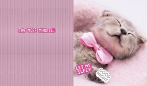 Sleeping kitten with a pink bow tie on a pastel pink knitted texture backdrop