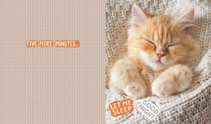 Sleeping red kitten in a cozy blanket on a pastel beige knitted texture backdrop