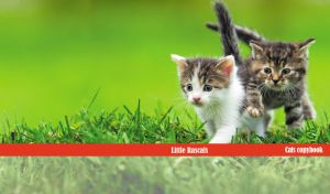 Little rascal kittens frolicking on grass against a green backdrop