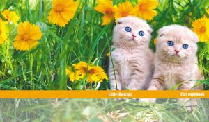Little rascal kittens peeking out among yellow flowers in a green summer field