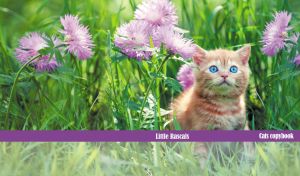 Little rascal kitten amid purple cornflowers in a green garden