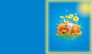 Kitten sleeping on the a brown puppy in green grass and yellow flowers on a sunny day