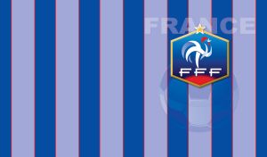 FFF, French football federation logo on blue and pastel blue stripes