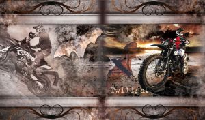 Dirt bike rider stands on beach at twilight in a brown frame with bat silhouette