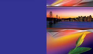 Sunset urbanscape with a bridge and city with tall buildings on dark blue with a tulip