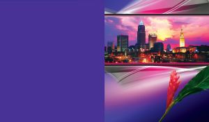 Sunset urbanscape with illuminated buildings on violet with green leafed red ginger flower