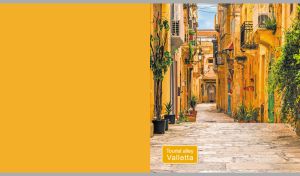 An atmospheric Valletta alleyway graced with greenery on a yellow backdrop