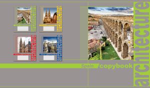 Aqueduct of Segovia in Spain in a lime green frame on a grey backdrop