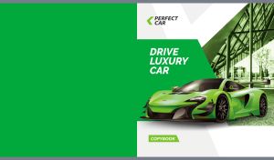 Perfect Car | Sleek Speedsters | On two color backgrounds