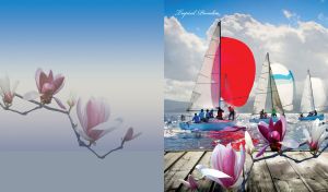 Three sailboats and magnolia flowers against blue sky and grey scattered clouds