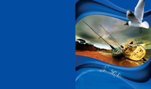 Seaside Serenity | Sailboats and Seagulls at Rest