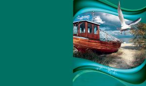 Wooden boat at the beach with grass and bushes, with a seagull on a teal background