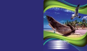 Old wooden canoe-boat on the beach half covered with reeds, a seagull on navy